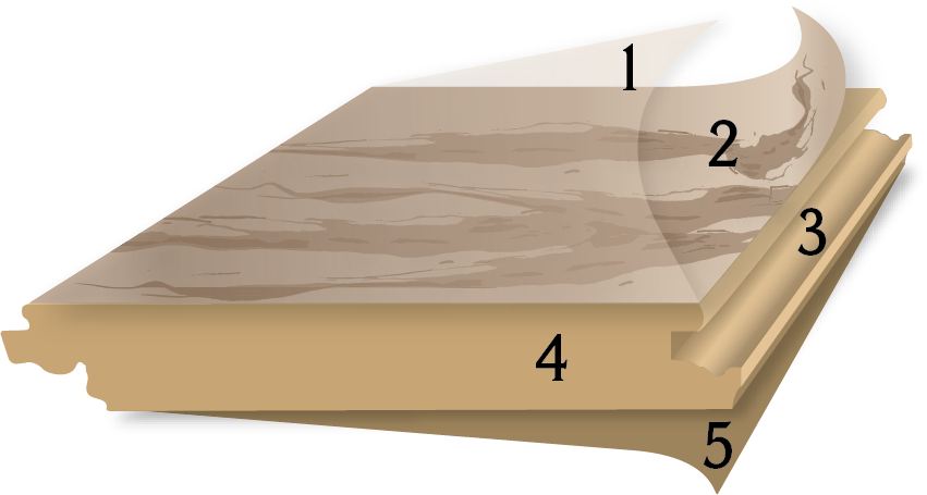 numbered illustration showing layers of laminate features